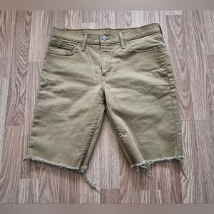 Levi's Men's Tan Shorts